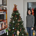 Christmas Tree 2012a